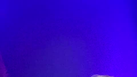 LickYourYoni online show from December 2, 2024, 2:19 pm