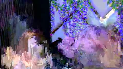 Brittany online show from December 3, 2025, 2:48 pm