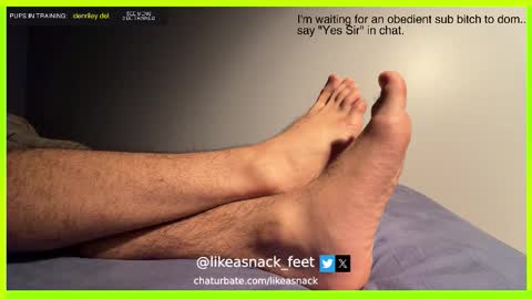 Snapshot of likeasnack chatting on October 14, 2025, 6:47 am likeasnack online show from October 14, 2025, 6:47 am
