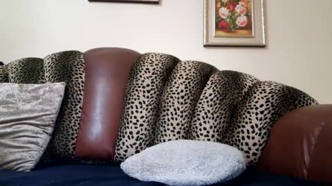 Snapshot of likechoco chatting on December 19, 2024, 10:53 pm Celine online show from December 19, 2024, 10:53 pm