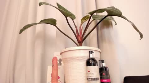 Lila online show from January 15, 2025, 10:46 pm