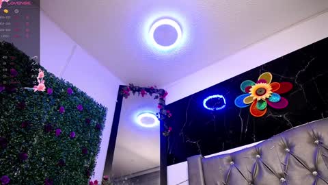   online show from December 24, 2024, 10:44 am