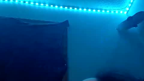 lildman420 online show from November 12, 2025, 8:48 am