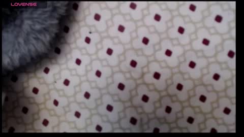 lildragon069 online show from December 7, 2024, 9:28 am