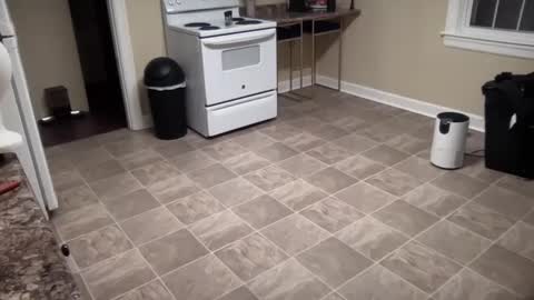 lilly_adams88 online show from February 21, 2025, 1:00 am