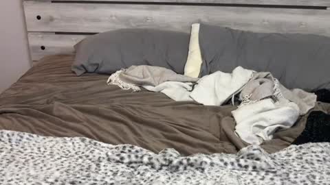 Snapshot of lillybabyxo chatting on December 7, 2024, 1:36 am Lilly Baby Xo online show from December 7, 2024, 1:36 am