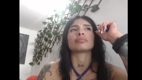 Snapshot of lilpalacio chatting on March 8, 2025, 8:14 pm lil palacio online show from March 8, 2025, 8:14 pm