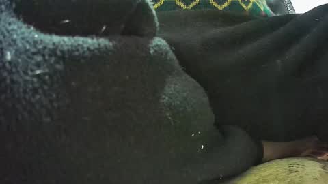 lily lovelyman online show from February 23, 2025, 7:11 am