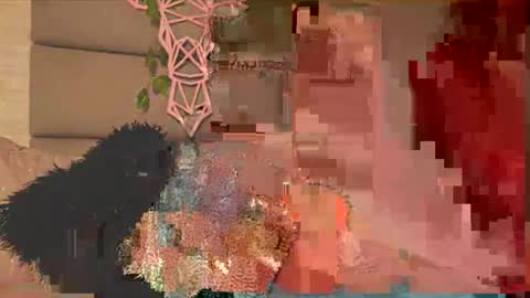 Lily Miiller online show from February 5, 2026, 9:41 pm