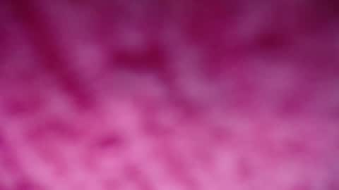 lindsey_2023 online show from December 29, 2024, 9:20 pm