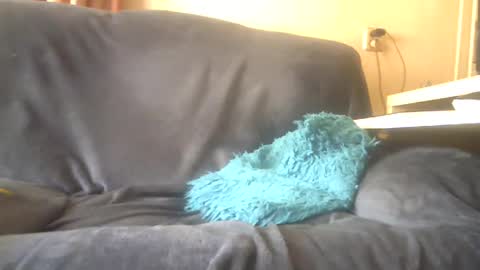 lion160868 online show from February 3, 2025, 10:14 am