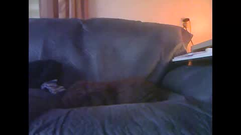 Snapshot of lion160868 chatting on January 18, 2026, 9:13 am lion160868 online show from January 18, 2026, 9:13 am