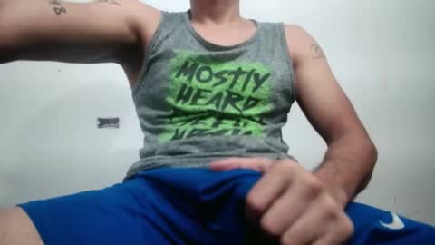 lion_20cm online show from September 28, 2025, 1:00 am