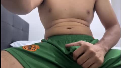 lion_20cm online show from November 10, 2025, 12:42 am