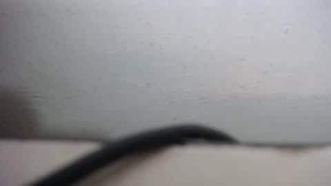 lisa_branch online show from September 20, 2025, 10:27 am