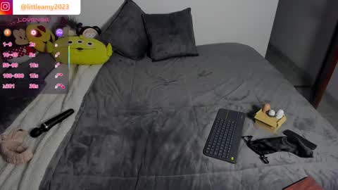 Snapshot of little__ammy chatting on February 4, 2026, 12:49 am little__ammy online show from February 4, 2026, 12:49 am