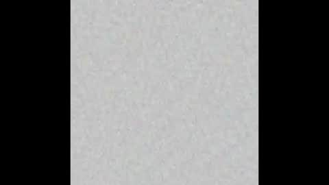 Adaline online show from January 17, 2026, 7:35 am