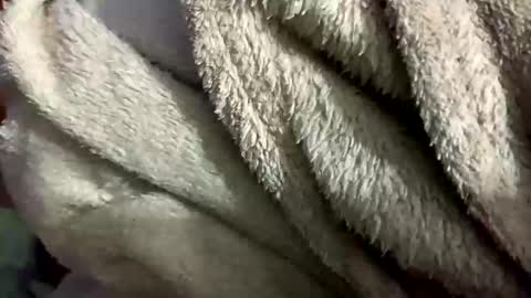 little_sissy_wendy online show from February 28, 2025, 9:33 pm