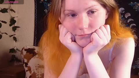Snapshot of little_witch_sofia chatting on December 8, 2024, 9:08 pm Sofia online show from December 8, 2024, 9:08 pm