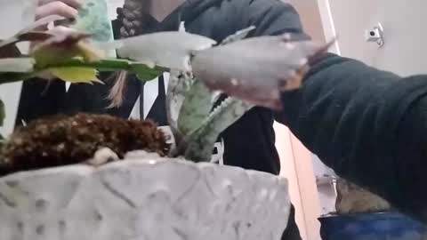 Snapshot of littleleo96 chatting on October 5, 2025, 11:08 am littleleo96 online show from October 5, 2025, 11:08 am