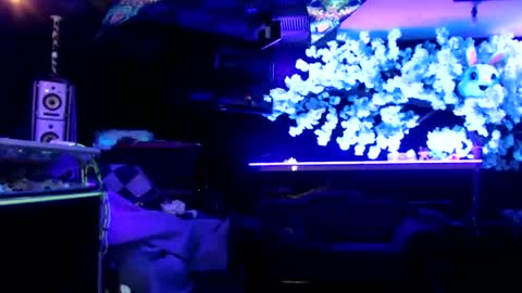 GentleViolet online show from January 15, 2025, 8:09 am