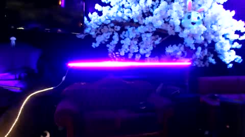 GentleViolet online show from January 30, 2025, 5:52 am