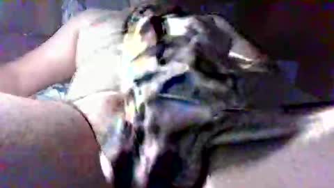 litwinpaweel online show from October 28, 2025, 8:22 pm