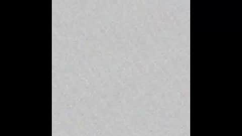 Liz  online show from February 4, 2025, 9:07 am