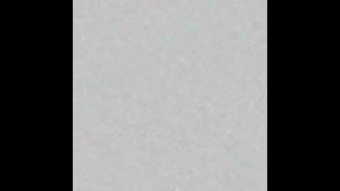 Liz  online show from March 8, 2025, 8:55 am