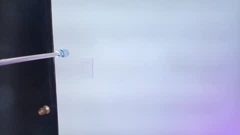 Snapshot of lizz_tender chatting on February 6, 2025, 11:54 am Lizz  online show from February 6, 2025, 11:54 am