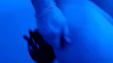 lllortx online show from February 9, 2025, 3:56 pm