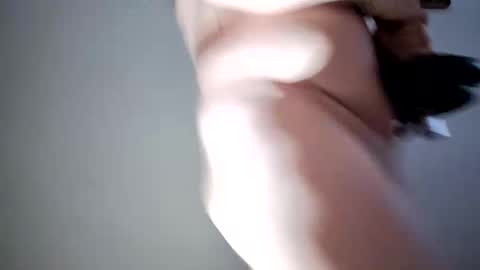 lllortx online show from February 17, 2026, 4:24 pm