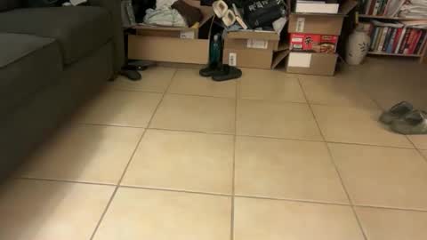 logical12345 online show from January 19, 2026, 6:39 am