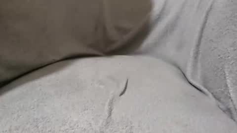 Snapshot of lokoloko22 chatting on November 28, 2025, 5:37 pm Lokoloko22 online show from November 28, 2025, 5:37 pm