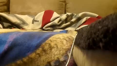 Snapshot of looking4bush chatting on January 19, 2026, 5:55 am looking4bush online show from January 19, 2026, 5:55 am