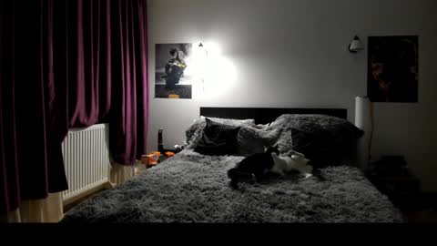 Lora online show from January 8, 2025, 6:41 pm