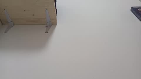 Lora online show from January 10, 2025, 1:41 pm