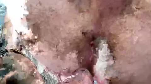 lord47maliby online show from April 29, 2026, 5:44 am