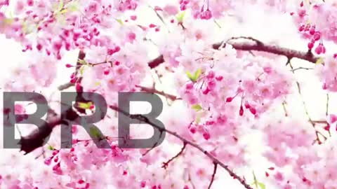 Lorraine online show from June 9, 2026, 7:58 pm