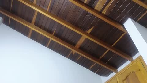 Snapshot of lovely_trix_ chatting on January 20, 2025, 11:45 am Trix online show from January 20, 2025, 11:45 am