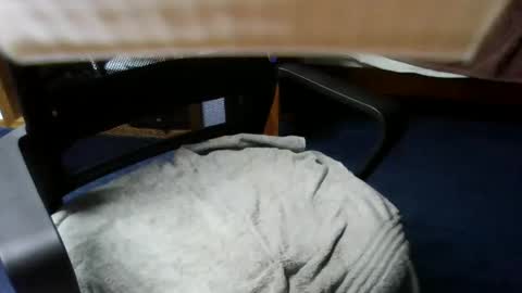 Snapshot of lovetolick272988 chatting on October 21, 2025, 2:34 am lovetolick272988 online show from October 21, 2025, 2:34 am