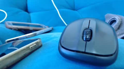 cutelucy 3 online show from January 19, 2025, 4:46 pm