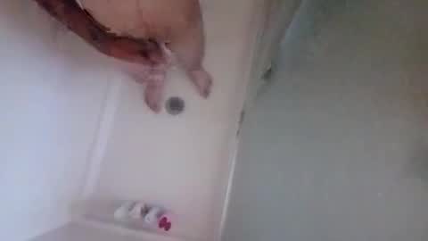 Snapshot of lovladysfeet chatting on October 12, 2025, 7:35 pm 2096512345 online show from October 12, 2025, 7:35 pm