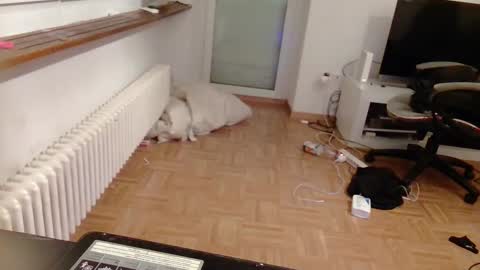 lu25humiliation online show from January 10, 2025, 4:51 pm