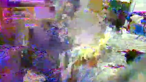 lu25humiliation online show from October 21, 2025, 6:52 pm