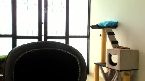 luara__01__lecat_1 online show from November 24, 2025, 5:34 pm