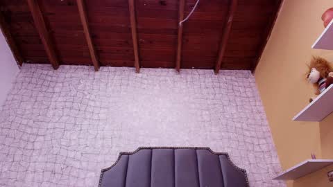 Lucero W online show from January 28, 2025, 10:23 pm