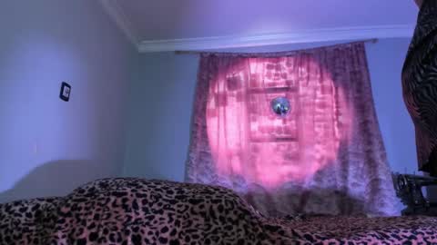 Luciana Evans online show from November 19, 2025, 3:23 pm