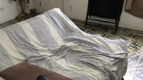 lucifer_curious online show from November 8, 2025, 4:18 pm