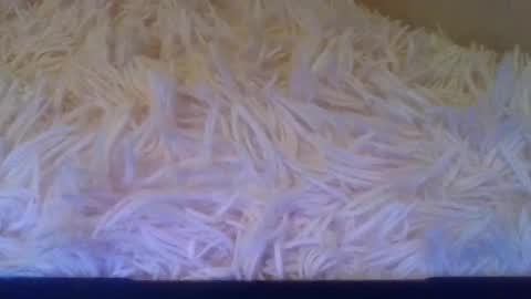 prettybaby1012 online show from September 20, 2025, 5:14 pm